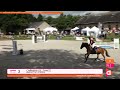 Vente Élevage SFO - Souche CSIO 5*