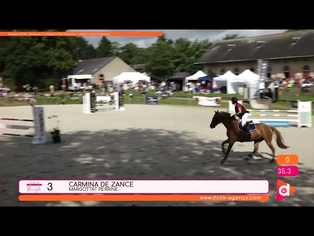 Vente &Eacute;levage SFO - Souche CSIO 5*