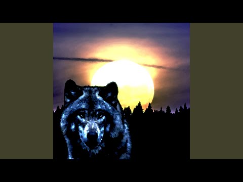 Meeting In The Woods