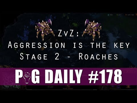 ZvZ - Aggression is the Key - Stage 2 - Roaches - The PiG Daily #178