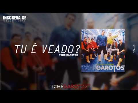 Tu é viado? - Tchê Garotos