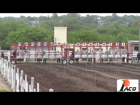 ATREVIDO HIPODROMO DON SOHAR CRUZ DEL EJE 17 12 2022