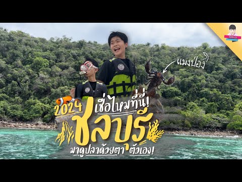 คลิกเพื่อดูคลิปวิดีโอ