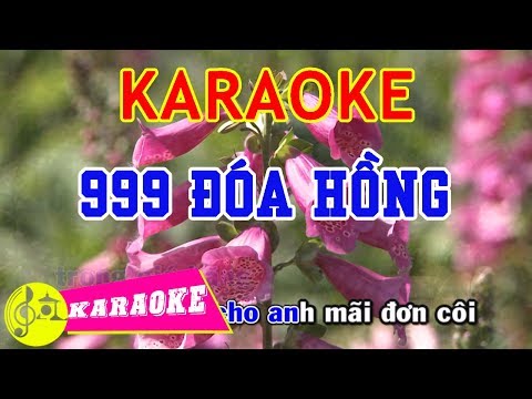 999 Đóa Hồng Karaoke || Beat Chuẩn