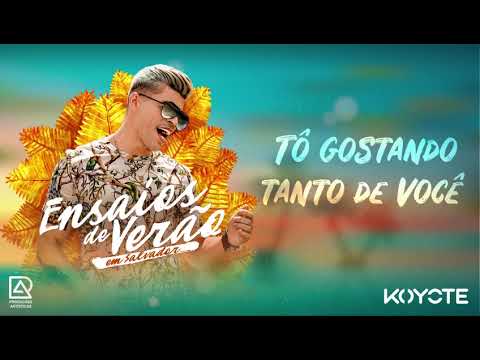 Koyote - Tô Gostando Tanto de Você