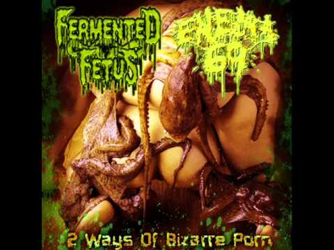 Fermented Fetus   Ten Dollar Hoocker
