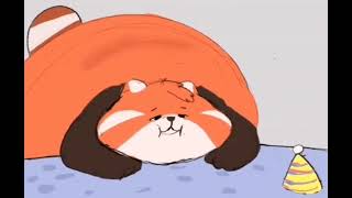 Fat Red panda weight gain animation