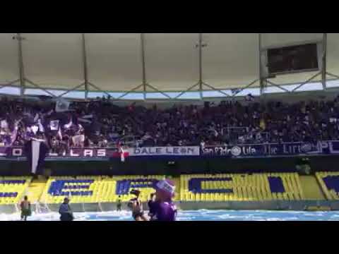 "Los Lilas" Barra: Los Lilas &bull; Club: Club Deportes Concepción