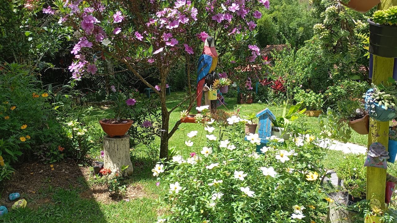 Mostrando as lindas flores do meu jardim 😍 do mês de janeiro 🤩❤️🙌