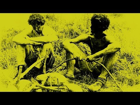 IT'S IMMATERIAL John Peel 11th November 1981