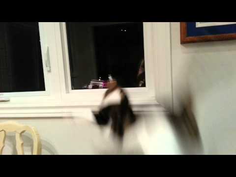 Neville is so happy, he falls off the window sill.