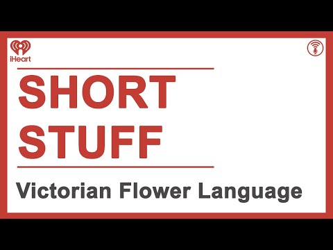 Short Stuff: Victorian Flower Language | STUFF YOU SHOULD KNOW