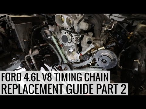 How to Replace the Timing Chain 4.6L Ford V8 Part 2 - Project Mullet Mustang - EP05