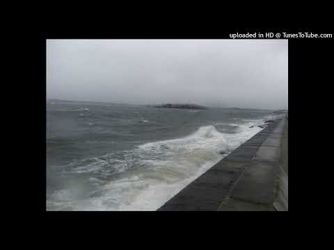 hard syringe + sybyr + the virus and antidote type beat