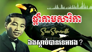 ផ្តាំតាមសារិកា ស៊ីន ស៊ីសាមុត