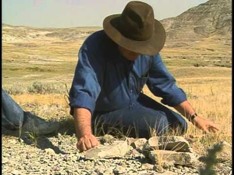 The Fall of Newt Gingrich The Fall of Newt Gingrich trailer thumbnail