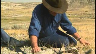 The Fall of Newt Gingrich