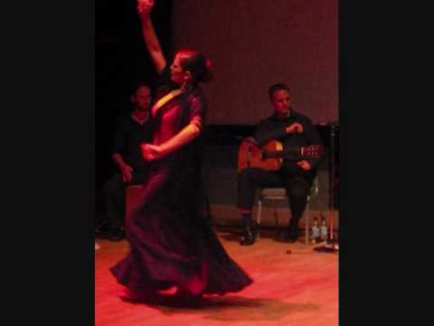 Solea - buleria con Flamenco del Norte