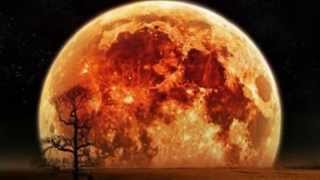 MARIA  BETHÂNIA " LUA BONITA "