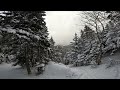 Goods in the Woods - Top of Sterling - Smuggler's Notch (2022)