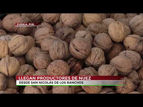 La Nuez de Castilla: Tradición y sabor mexicano