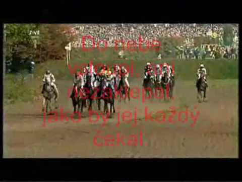 Klip - Velká Pardubická 2008
