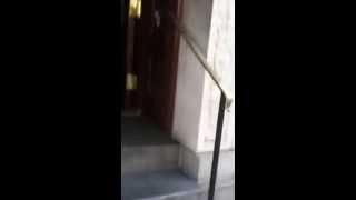 Recreation: Dan Rather beaten: Kenneth What's the Frequency