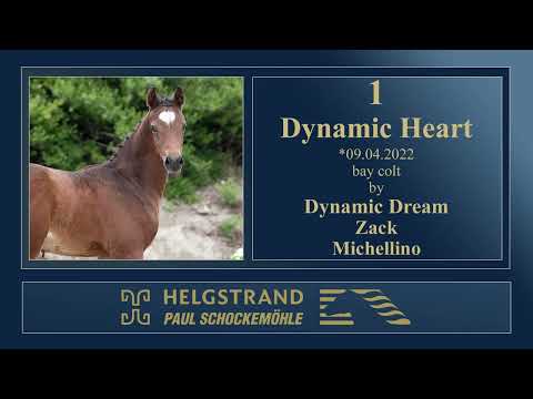 1- Dynamic Heart by Dynamic Dream/Zack - Helgstrand-Schockemöhle Live Foal Auction on June 4th 2022