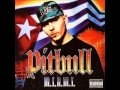 Pitbull - We Don't Care Bout Ya (feat. Cubo)