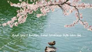Download lagu And I Love You So ~ Don McLean (HD, HQ) with lyrics mp3