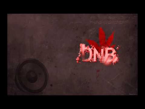 Eremite - DNB1 EREMITE