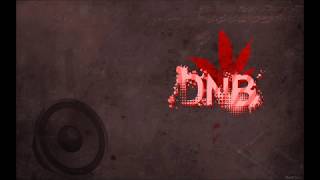 Video DNB1 EREMITE