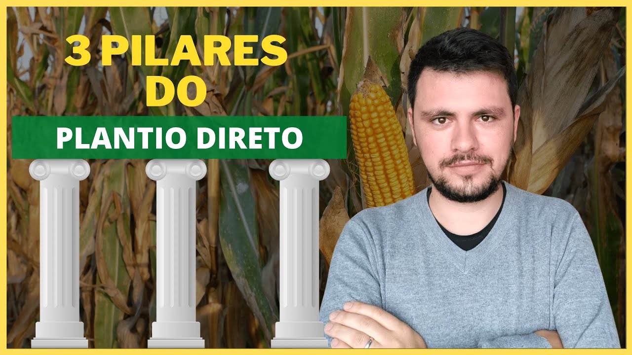 3 PILARES fundamentais do sistema de plantio direto (SPD)