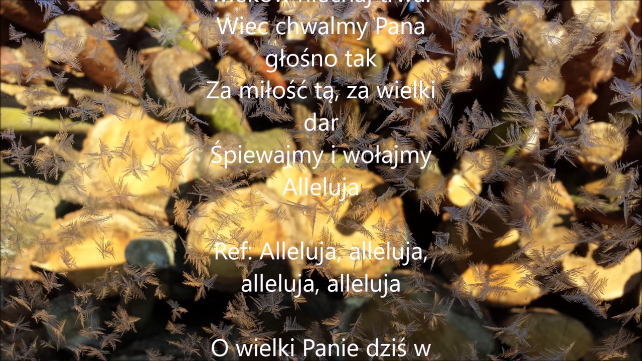 Hallelujah - wersja ślubna - cover by Ka Os