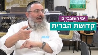 הרב דניאל אלול - הוצאת זרע לבטלה - ימי השובבים #3 - תשפ"ה (ישיבת שעלבים) - התמונה מוצגת ישירות מתוך אתר האינטרנט יוטיוב. זכויות היוצרים בתמונה שייכות ליוצרה. קישור קרדיט למקור התוכן נמצא בתוך דף הסרטון הרב דניאל אלול - הוצאת זרע לבטלה - ימי השובבים #3 - תשפ"ה (ישיבת שעלבים) - התמונה מוצגת ישירות מתוך אתר האינטרנט יוטיוב. זכויות היוצרים בתמונה שייכות ליוצרה. קישור קרדיט למקור התוכן נמצא בתוך דף הסרטון