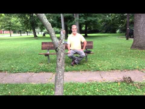 Fiddle & Drum by Joni Mitchell