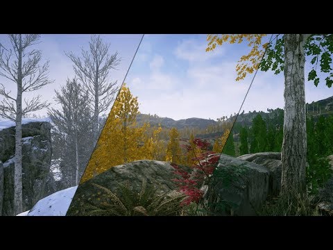 UE4 - Scanned Poplar/Aspen Forest with Seasons - 4K 60 FPS