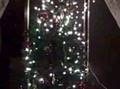 Dec 14 2007 VID00002