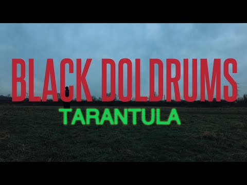 Black Doldrums - Tarantula (Official Video)