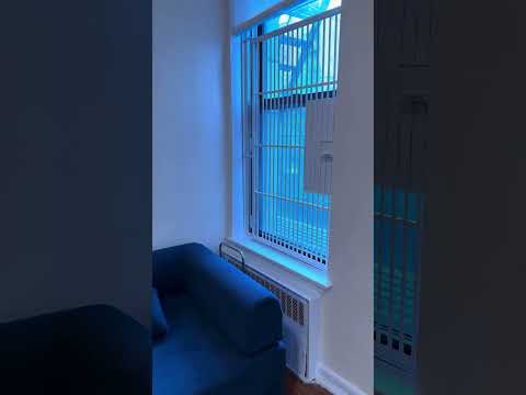 video 1
