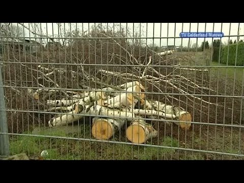 GLD Nieuws 4 januari 2012 - Nieuws