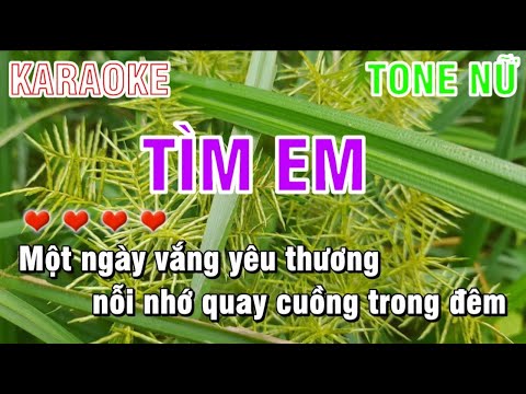 Karaoke Tìm Em - Tone Nữ - Nhạc Sống Mai Linh