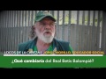 Diez latidos verdiblancos (VI) - Vídeos de La Afición del Betis