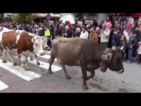 1^PARTE : FIERA DI S. LUCA A DEMONTE (CN) LA TRANSUMANZA. 13 - 10 - 2013.