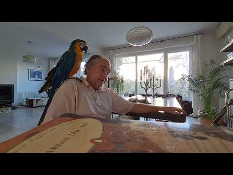 86 out of 100 for Mofturi 1900