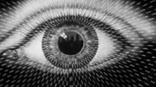 Empire Of The Sun - Country