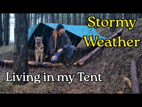 Strong Winter Winds and Rain, How do I Manage?