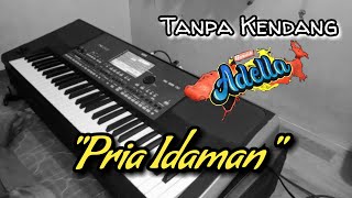 Download lagu PRIA IDAMAN - TANPA KENDANG mp3