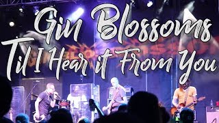 Gin Blossoms "Til I Hear It From You" Rochester, MN. Down by the Riverside