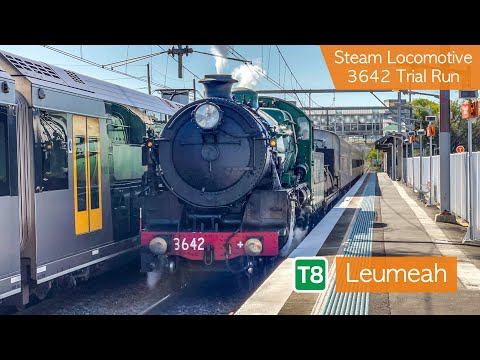 Transport for Sydney Vlog 485: Leumeah Part 2 + Steam Locomotive 3642 Trial Run